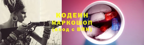 хмурый Гусев