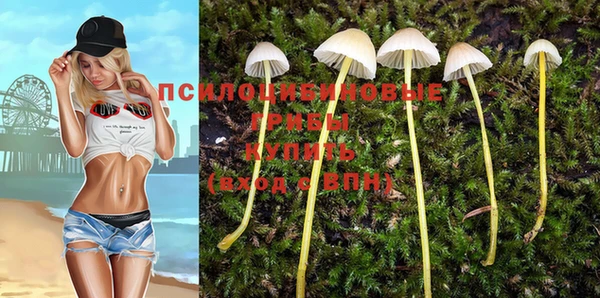 хмурый Гусев