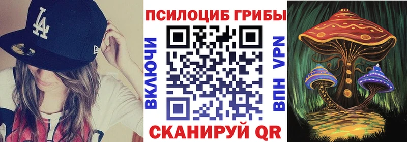 Псилоцибиновые грибы Psilocybine cubensis  Купить закладки  Кемь 